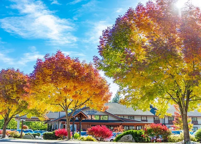 Icicle Village Resort