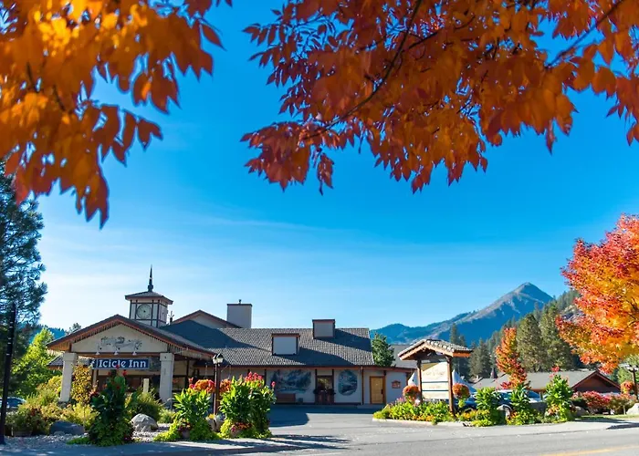 Icicle Village Resort